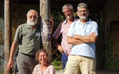 The financial backstory