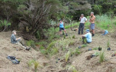 Love our Working Bees