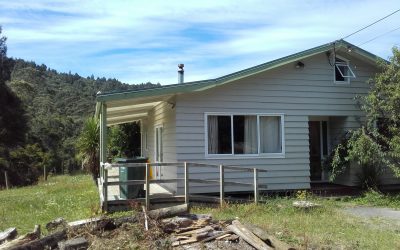 Awesome tenant needed