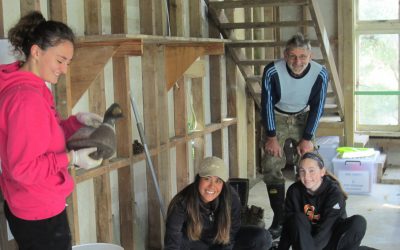 Sustainable Coastlines