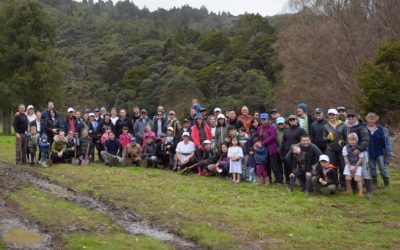 Ricoh – a new link