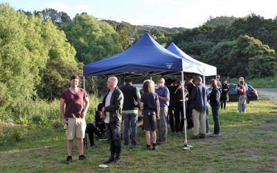 Open for World Wetland Day