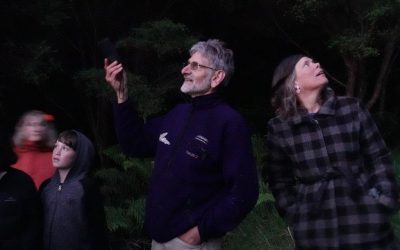 A Night in the Bufferzone