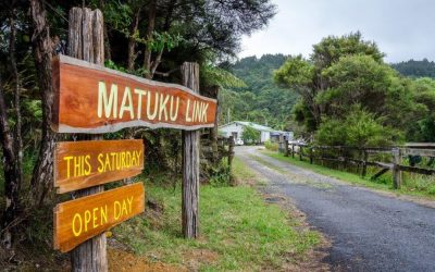 The Open Day in pictures