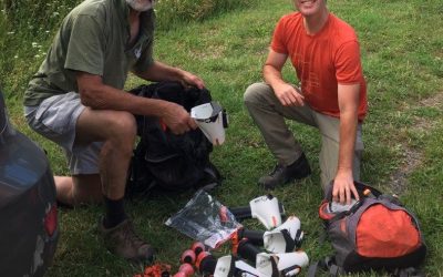 Traps, traps, more traps