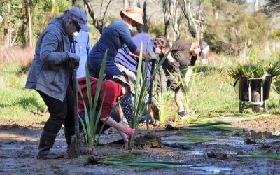 Celebrate Conservation Week