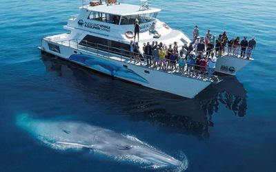 3rd Birthday Celebration!