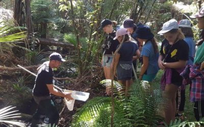 Girl Guides doing science