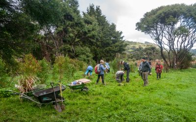 Sunday Working Bees 2026