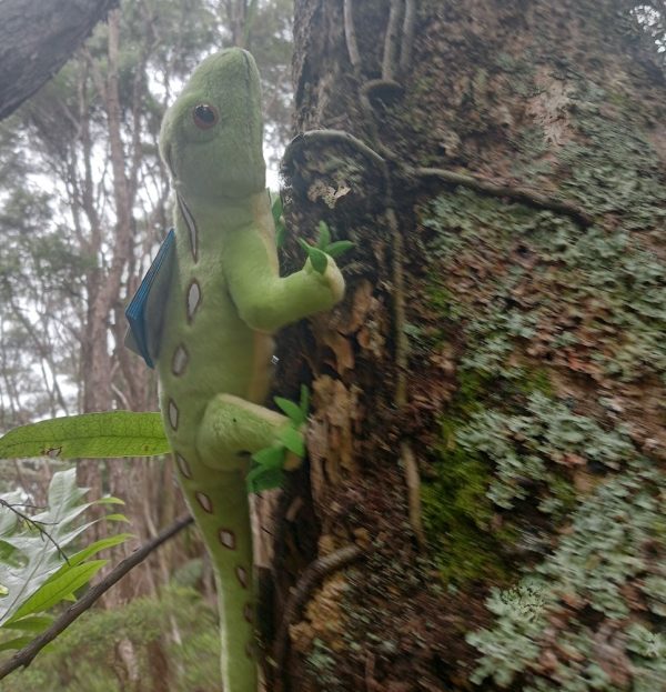 Moko Kākāriki - Elegant Gecko Soft Toy