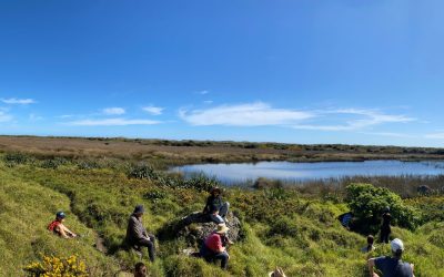 Whatipu Weed Warriors Weekend