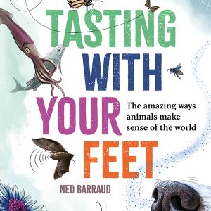 Tasting with your Feet
