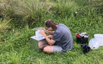 Joshua Campbell – researching more moths