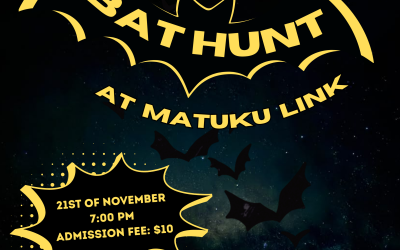 Bat Night at Matuku Link